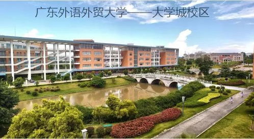 杭师大电子商务专业大类