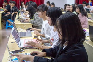 大学生电子商务专业学习